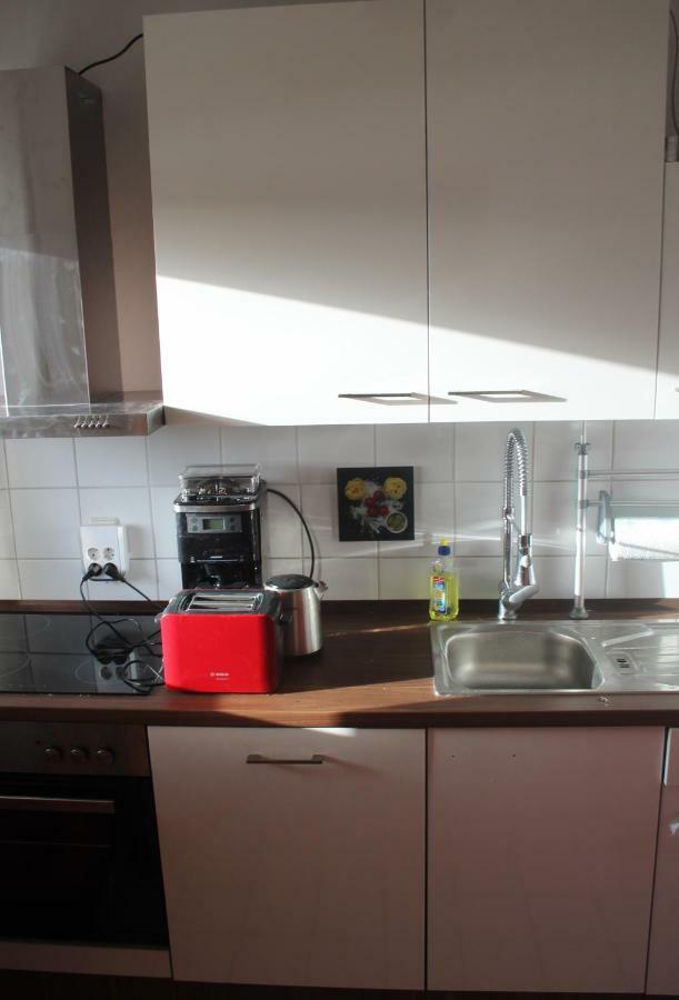 Ziebigk Appartement Deluxe Дессау Экстерьер фото